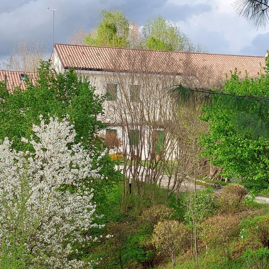 Agriturismo l'Eremo Volpago del Montello Esterno foto